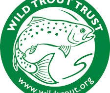 wild trout trust.jpg